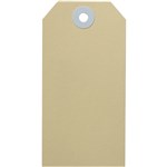 AVERY 14100 SHIPPING TAG SIZE 4 108 X 54MM BUFF BOX 100