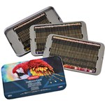 DERWENT CHROMAFLOW PENCILS TIN 100