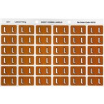 AVERY 43312 LATERAL FILE LABEL SIDE TAB COLOUR CODE L 25 X 38MM MUSTARD PACK 180