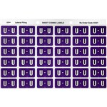 AVERY 43321 LATERAL FILE LABEL SIDE TAB COLOUR CODE U 25 X 38MM PURPLE PACK 180