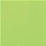 COLOURFUL DAYS COLOURBOARD 160GSM A4 LIME GREEN PACK 100