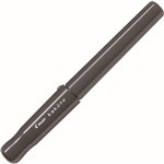 PILOT BEGREEN KAKUNO FOUNTAIN PEN FINE GREY CAP BLACK INK