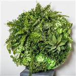 PLANT IMAGE VERTICAL WALL GARDEN ROUND SMALL