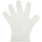 Food Handling Gloves