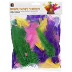 Feathers